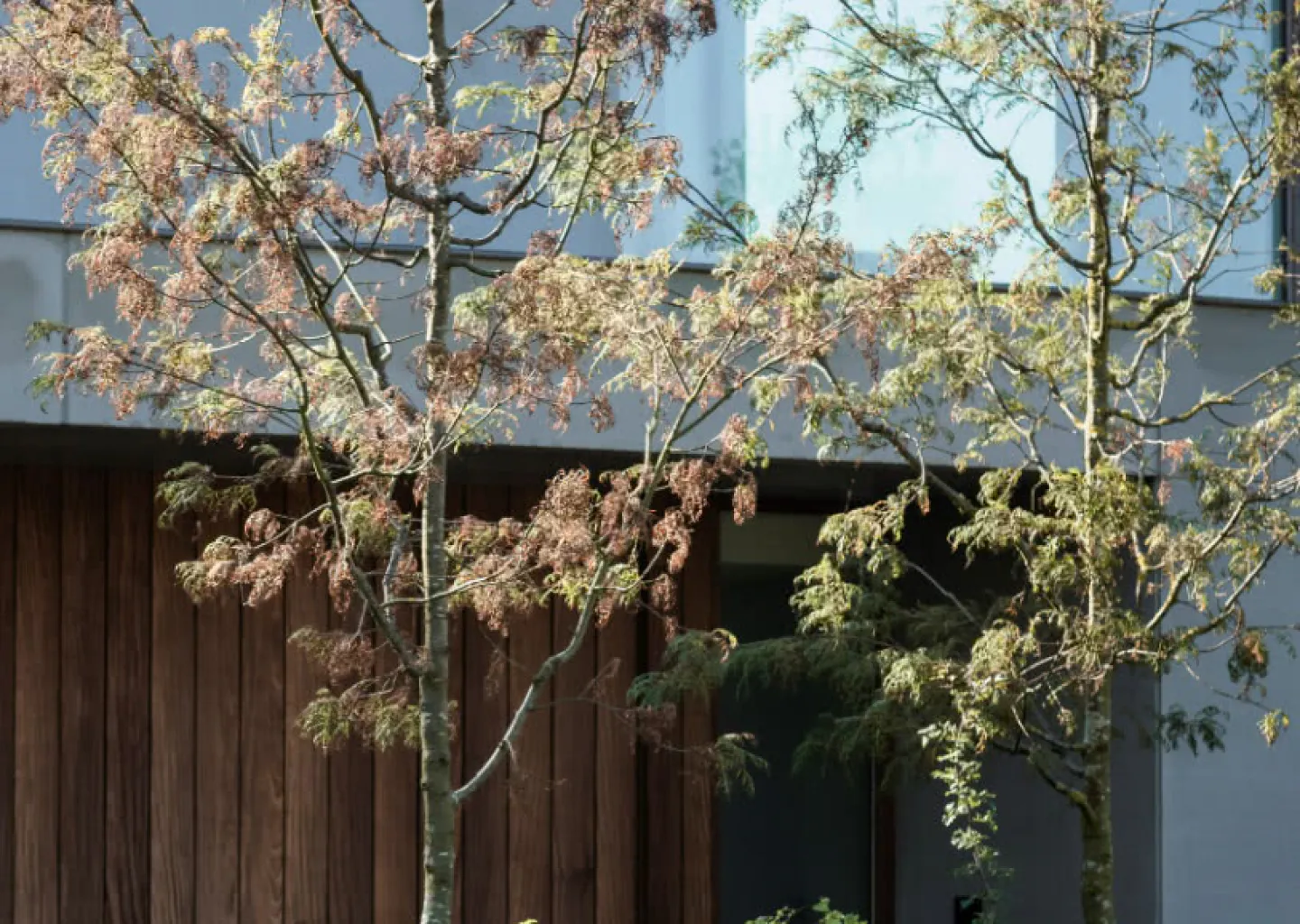 Reportage in Chic Gardens