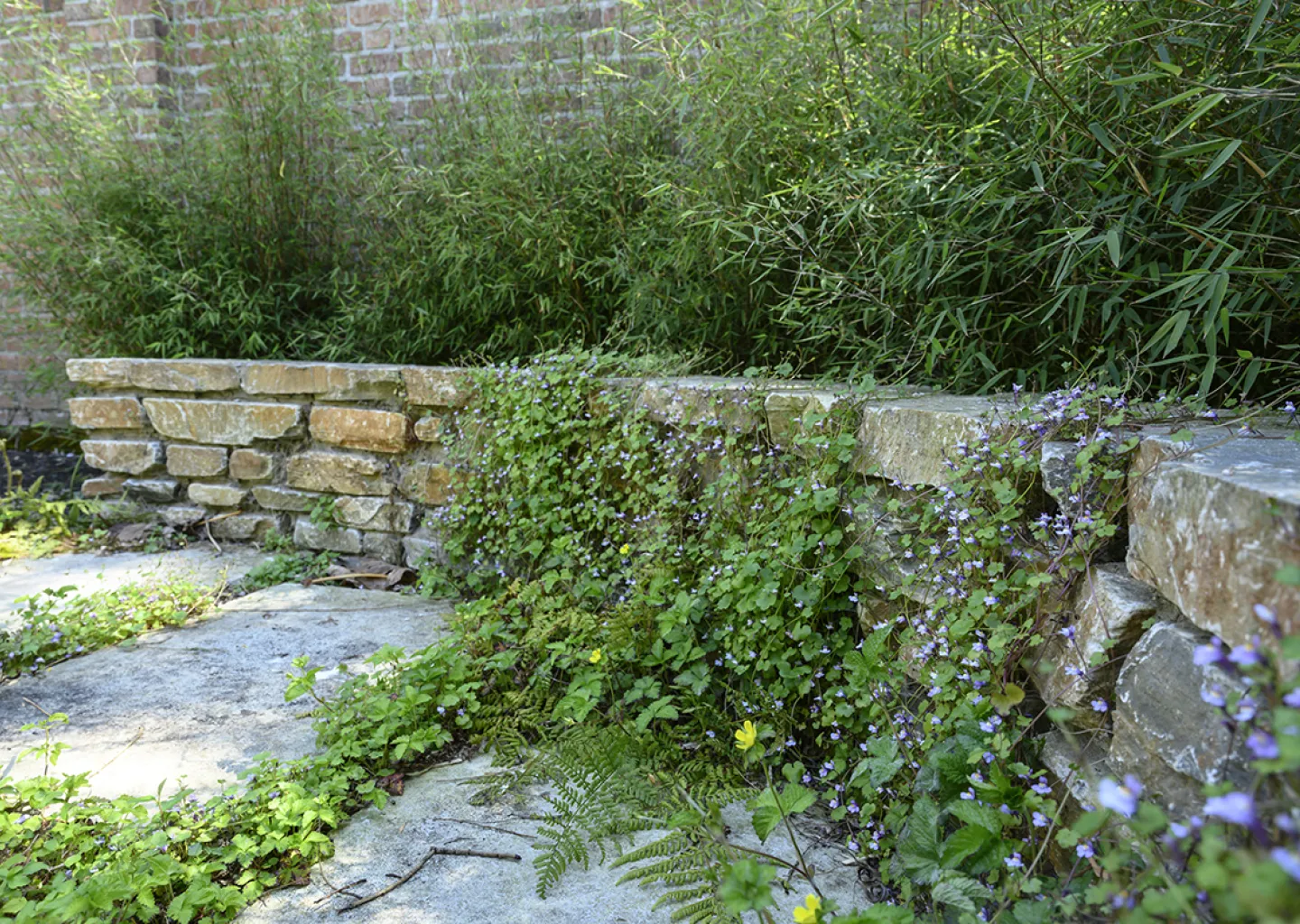 Typisch Oosters is dat planten mogen groeien tussen de voegen van een muur