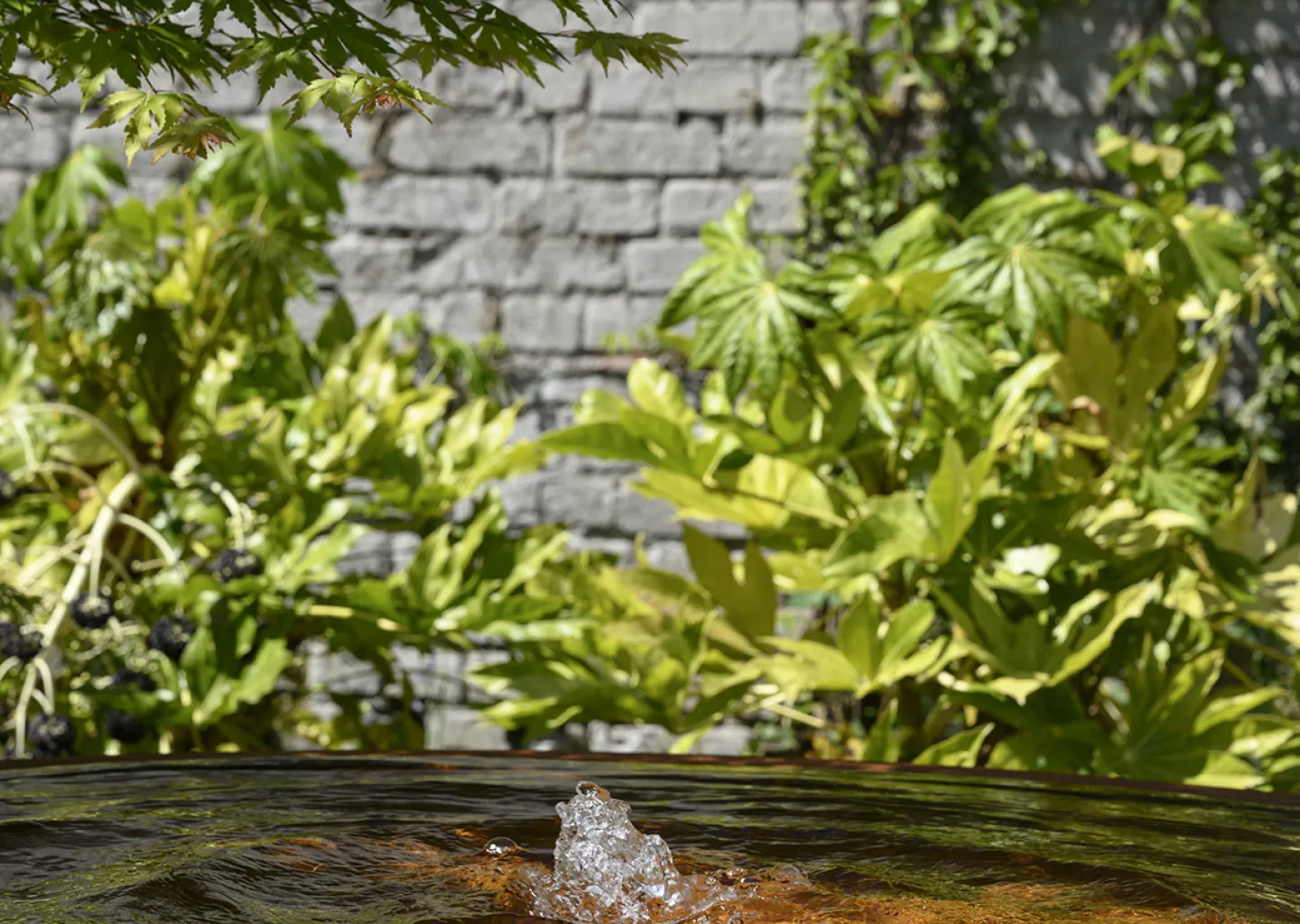 Het water fluistert, het stroomt zacht, het nodigt uit tot pauze.